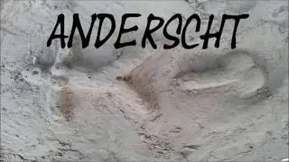 anderscht - anderscht
