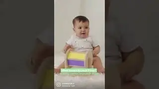 What comes in my Level 3 🐼CuriousCub Box?