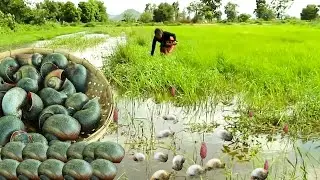 Survival Skills Cooking - Catch snail the red & cook for food Survival # 291
