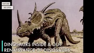 Dinosaurs Inside & Out: Renaissance of Dinosaurs