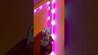 pixel led strip light #rgb #youtubeshorts