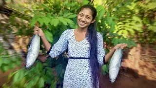 Making Clay pot Fish Curry | Kerala Style | Spicy Indian Food | Taste House