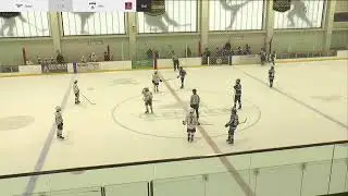 1-3-26 Central States Hockey -- Jets @ Stars Bantam Prospects White Tier 2