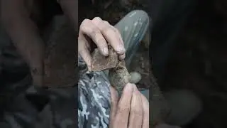 Это следовало уничтожить&hellip; Но оно всё равно уцелело.