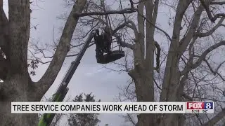 Triad tree service companies work ahead of winter storm