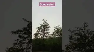 cricket at Tirupati