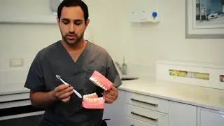 Dental Hygiene Cleans & Check-Ups | Painfree Dentistry in Parramatta