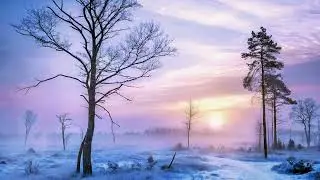 Peaceful , Relaxing , Soft Piano -🌙✨💤💖 2 Hour - Long Play