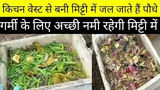 किचनवेस्ट गार्डनवेस्ट राख और धान की भूसी से गमले भरें/how to fill Bigpot with kitchenwaste & garbage