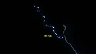 fish vs lightning #animals #viral