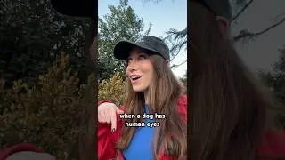 когда у собаки человеческие глаза