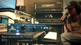Black Lion Audio Mic Preamp B173  VS  AUTEUR