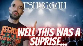 Meshuggah Rational Gaze REACTION