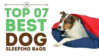 Top Best Dog Sleeping Bags