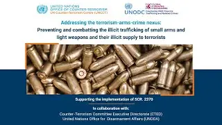 Addressing the terrorism-arms-crime nexus: Preventing and combating the illicit trafficking of small