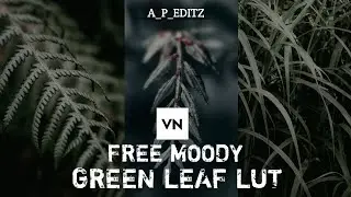 Moody Green Leaf Lut | VN LUTS | Free Luts Pack | Color grading with lut on mobile (VN Video Editor)