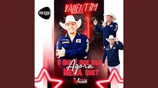 Vinicius vallentim