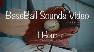 Experience 1 Hour Of Baseball Sounds