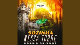 Sozinha Nessa Torre Bregadeira Pra Pared&atilde;o