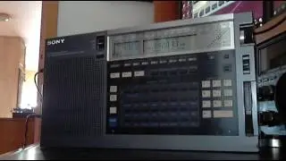 Sony ICF2010
