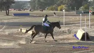 117XC Cody Kasher on Bravado JR Beginner Novice Cross Country Ram Tap November 2022