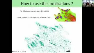 Coordinate-based quantification of single-molecule localization microscopy data