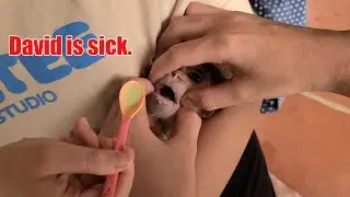 Monkey David had diarrhea and stopped eating and had to take medicine