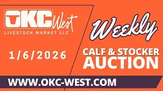 1/6/2026 - Calf & Stocker Auction - OKC West