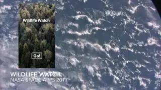 Wildlife Watch: NASA Space Apps Challenge 2017