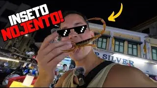 Fui Na Feira de Bangkok e COMI INSETO!