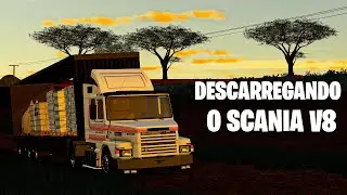 Chegou  sal mineral na fazenda p&eacute; de ferro | Farming simulator19