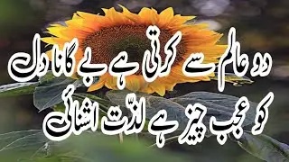 Darse Quran mufti Mujeeb ur Rehman Alvi #bayan #narankagan #islamiceducation #