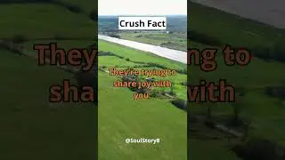 If they send you memes or jokes... #crushfacts  #lovefacts  #feelingsexplained
