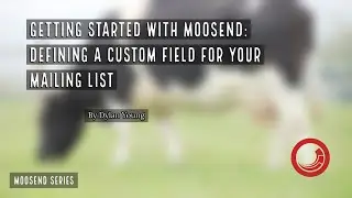 📧 Sitecore Moosend - Create a Custom Field [ Hands-On Demo ]