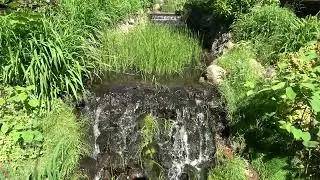 Crystal stream in the garden (Хрустальный ручей в саду)