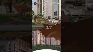 North Enclave By Pacifica | Marketed by City Address Realty