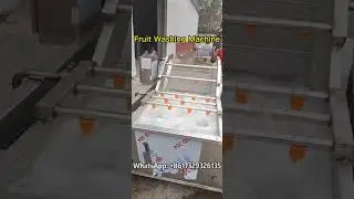 Clean and Fresh: The Ultimate Fruit Washing Machine - A Comprehensive Demonstration! #fruit