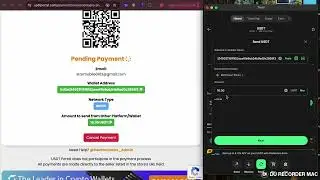 USDT Portal BEP20 USDT-USDC Auto Payment Instant From Heartunlocks