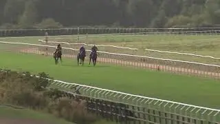 20201003 Kvallopp G&ouml;teborg Galopp