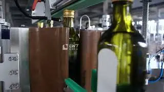Automatic Vertical Round Bottle Labeling Machine Two Side Labeller Shampoo Bottle Labeler