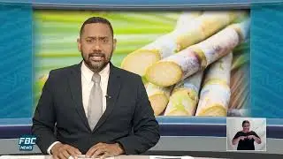 CANE QUALITY REMAINS AN ISSUE: FBC NEWS 11/07/2024