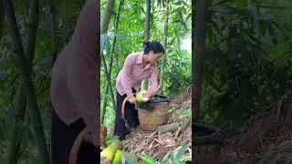 Badu bamboo shoots, crisp but not greasy, full of fresh fragrance