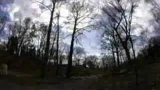 Reading Eagle: Spring
