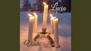 Lucia (feat. Voaks)