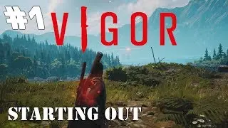 Vigor | Часть 1 &mdash; Начало