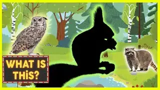 WHAT IS THiS ANIMAL? ❤️ ANIMALS FOR KiDS | LEARN WILD ANIMAL NAMES FOR KiDS IN ENGLISH ❤️ Squirrel🐿