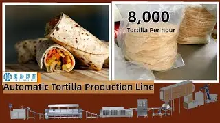 How to Make Soft FLOUR TORTILLAS at Factory with 8000 PCS/H !!! #tortillapress