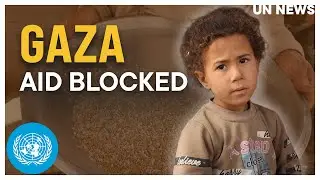 Gaza: Israeli aid distribution plan contravenes humanitarian principles, UN says | United Nations