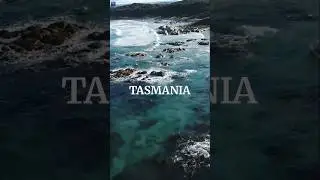 Тасмания: невероятно удивительные туристические направления 4k