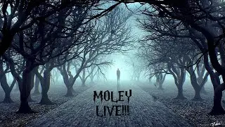 Moley Live from The Fog!!!